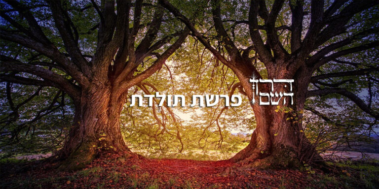 פרשת תולדות