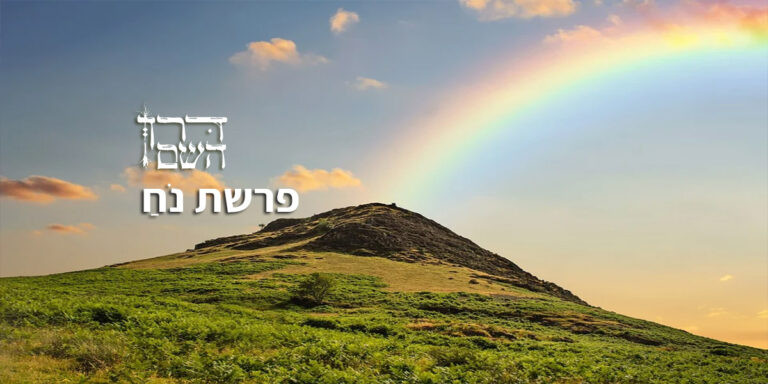 פרשת נח