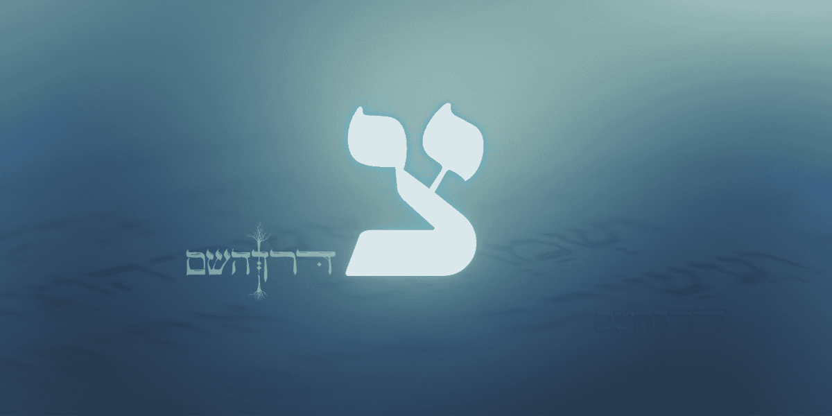 אות צ' בשם האדם - סוד האותיות על פי הקבלה
